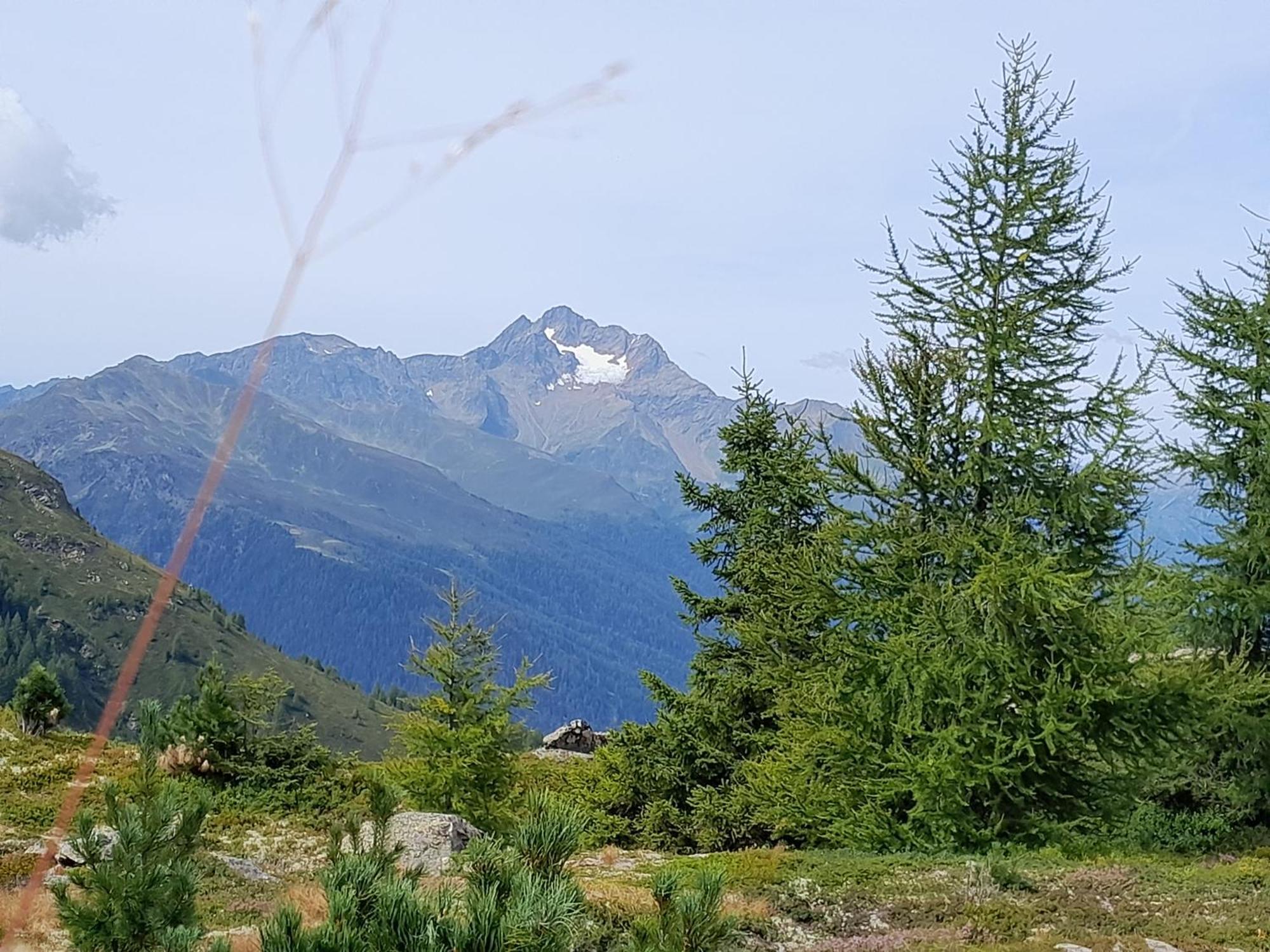 Haus Hotz Apart Talblick Гринс Экстерьер фото